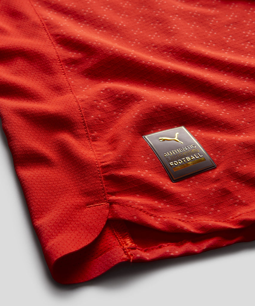 Camisola Principal Authentic 2025
