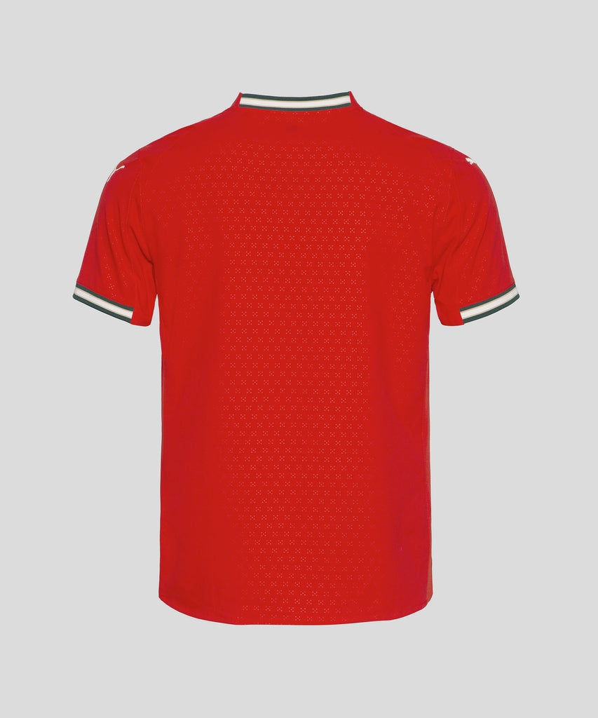 Camisola Principal Authentic 2025