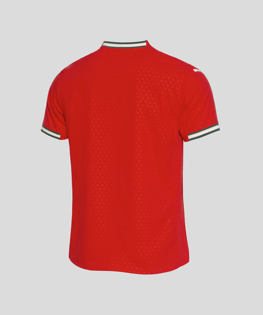 Camisola Principal Authentic 2025